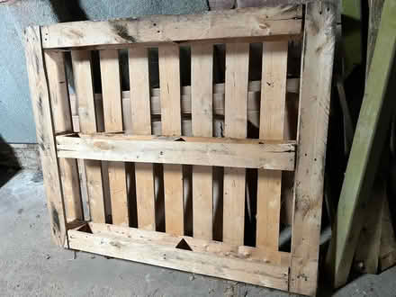 Photo of free Pallet (City College area NR1) #1