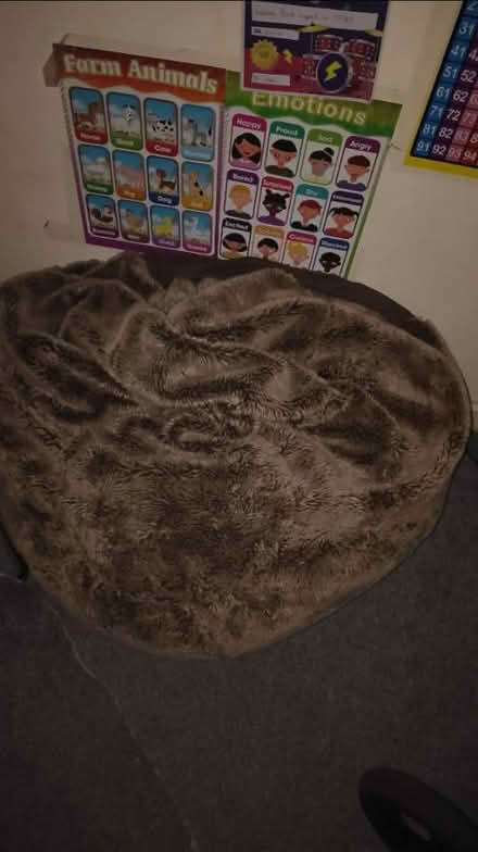 Photo of free Bean bag (OX14 Abingdon) #1