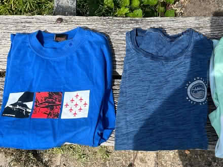 Photo of free Bundle of M/L mens t shirts (Waterlooville PO7) #2