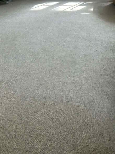 Photo of free Light grey carpet (Tunbridge Wells) #1