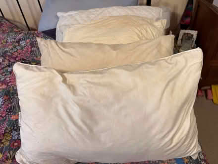 Photo of free 4 x Nice squashy pillows (Shephall SG2) #2