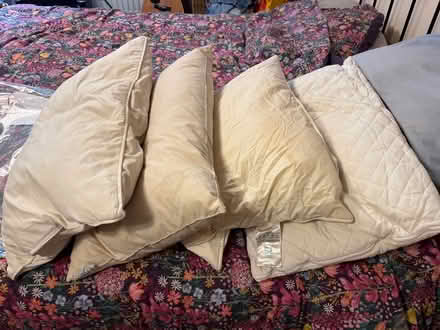 Photo of free 4 x Nice squashy pillows (Shephall SG2) #1