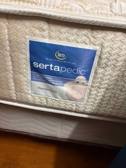 Photo of free twin size bed mattress (Rolling Meadows) #1