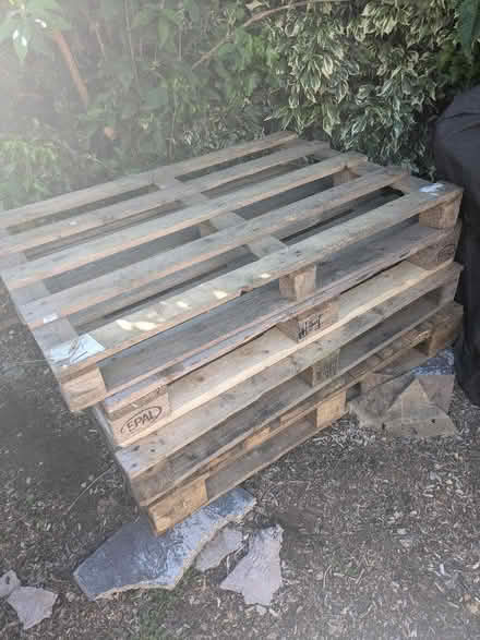 Photo of free Pallets (Kempston MK42) #1