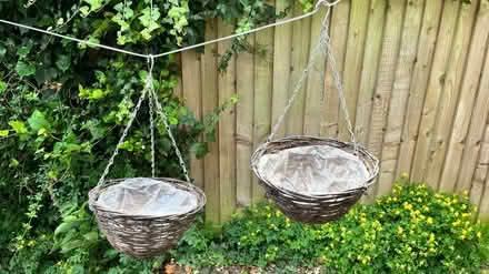 Photo of free Pair of flower hanging baskets (CB1 (Petersfield) Mill Road) #1