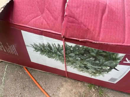 Photo of free 180cm Christmas tree (AL2 / SG6) #2