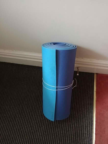 Photo of free 2 x sleeping mats (Gosforth) #1