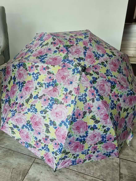 Photo of free Parasols (Woburn Sands MK17) #3