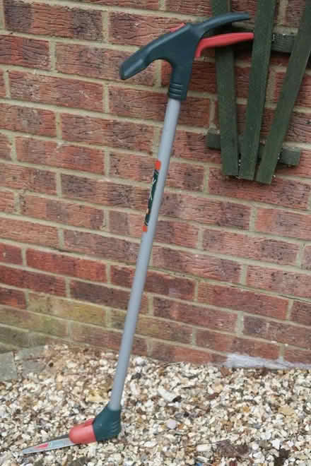 Photo of free Lawn edging shears (Purley on Thames RG31) #1