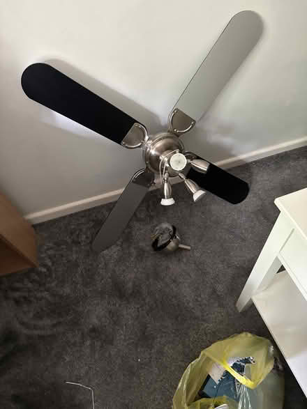 Photo of free Ceiling fan (Tonbridge TN9) #1