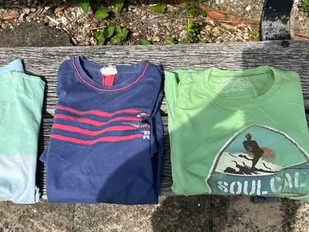 Photo of free Bundle of M/L mens t shirts (Waterlooville PO7) #3