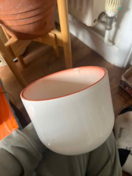 Photo of free Plant pot (Stanway CO3) #1