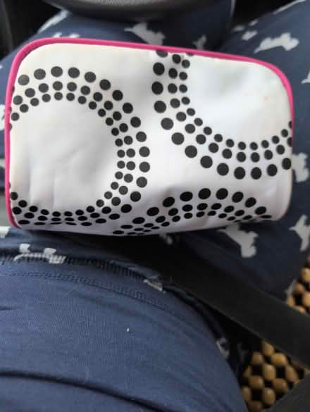 Photo of free Travel pouch/ pencil case (Britannia) #2