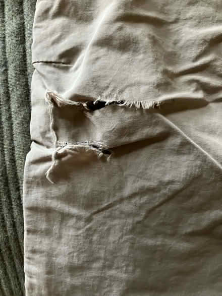 Photo of free Women’s hiking pants (Piedmont) #1
