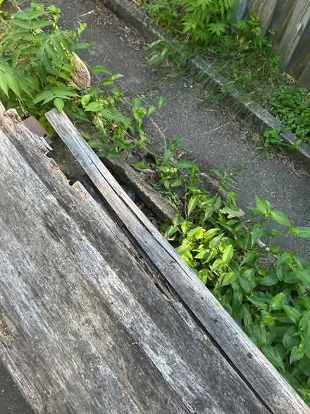 Photo of free Outdoor reclaimed wooden bench (Petworth) #3