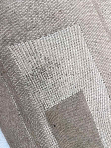 Photo of free Big old rug (AL2 / SG6) #2