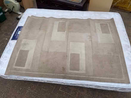 Photo of free Big old rug (AL2 / SG6) #1