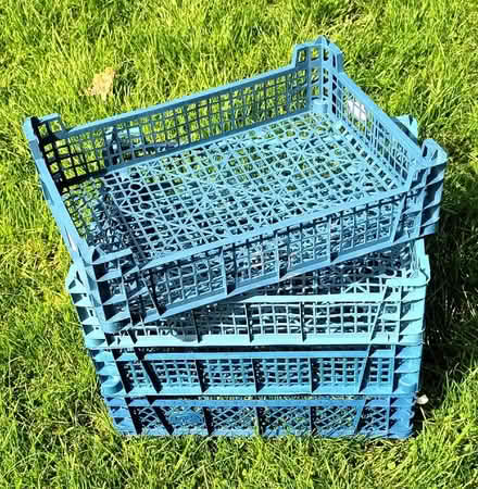 Photo of free mushroom trays (Appleby-in-Westmorland CA16) #1
