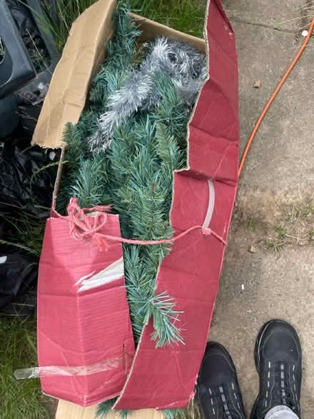 Photo of free 180cm Christmas tree (AL2 / SG6) #1