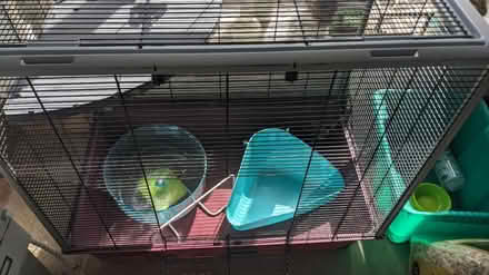 Photo of free Hamster/rat cage (Stroud town) #1