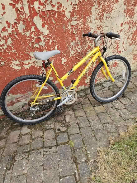 Photo of free Ladies bike (Bangor BT20) #1