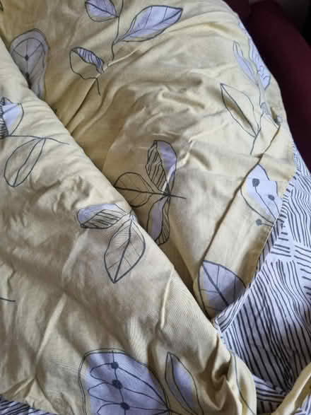 Photo of free King duvet & cover (Bangor LL57) #2