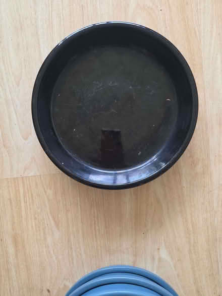 Photo of free saucers for plant pots (Stockwood LU1) #4