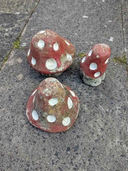 Photo of free Stone garden 'toadstools' (Blossomfield B91) #1