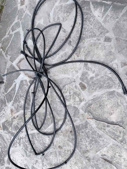 Photo of free irrigation hose (near Gage Pk, Hamilton) #1