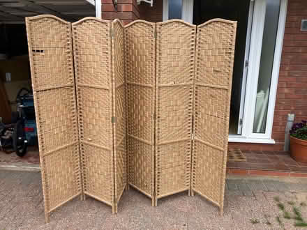 Photo of free Rattan screen (TF1) #1