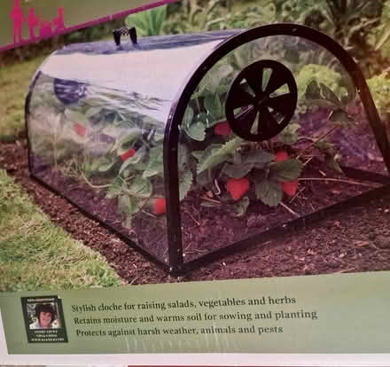 Photo of free Garden Cloche - new never used (Broadbridge Heath RH12) #2