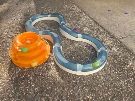 Photo of free Ball Rolling Cat Toys (west san jose) #1