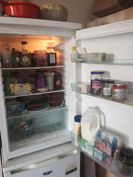 Photo of free Under counter fridge (Croydon) #2