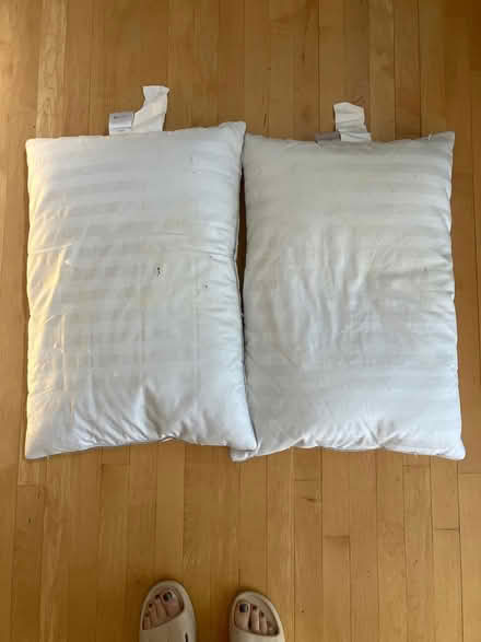 Photo of free Gently used down/feather pillows (Crystal Beach) #1