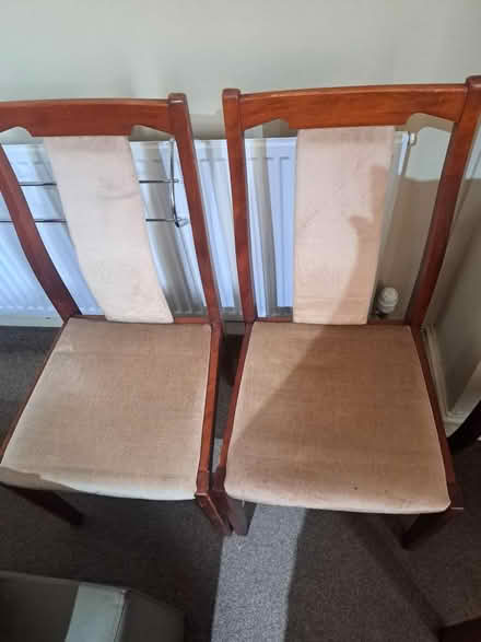Photo of free 3 dinning chairs (Port Talbot SA12) #2