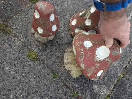 Photo of free Stone garden 'toadstools' (Blossomfield B91) #3
