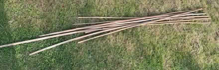 Photo of free Bamboo canes (Gleneagles area, Wboro NN8) #1