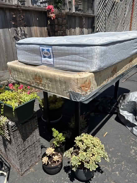 Photo of free Twin bed (Live Oak) #1