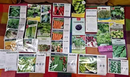 Photo of free Selection of vegetable seeds (Broadbridge Heath RH12) #4