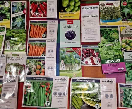 Photo of free Selection of vegetable seeds (Broadbridge Heath RH12) #2