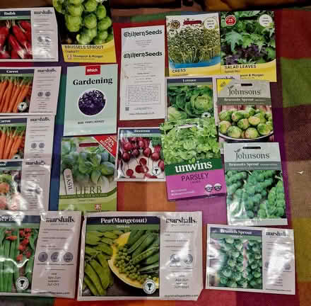Photo of free Selection of vegetable seeds (Broadbridge Heath RH12) #3