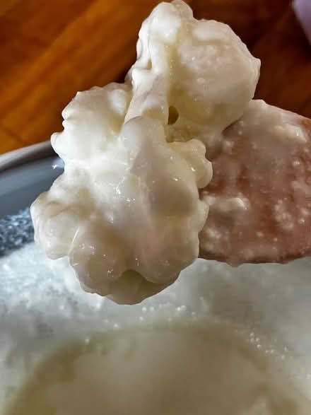Photo of free Keffir grains (for milk) (Craigleith EH4) #1