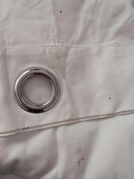 Photo of free Eyelet curtains (Honor oak) #3