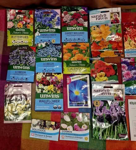 Photo of free Flower seeds (Broadbridge Heath RH12) #1