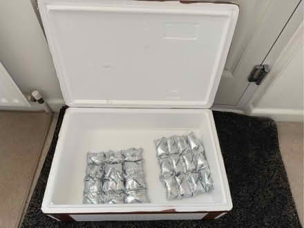 Photo of free Large cool box (Welling DA16) #1