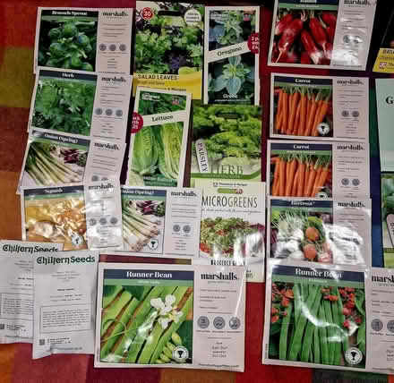 Photo of free Selection of vegetable seeds (Broadbridge Heath RH12) #1