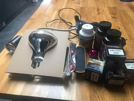 Photo of free Reptile bits and pieces (Marchwood, SO40) #1