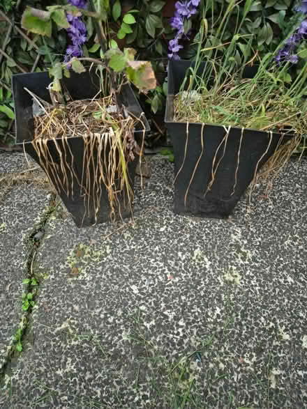 Photo of free 2 back plant pots (Ashington (NE63)) #1