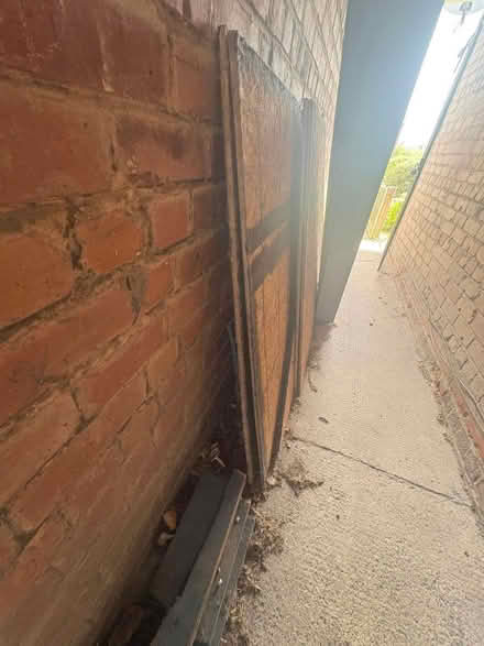 Photo of free Wood (Hawarden) #4