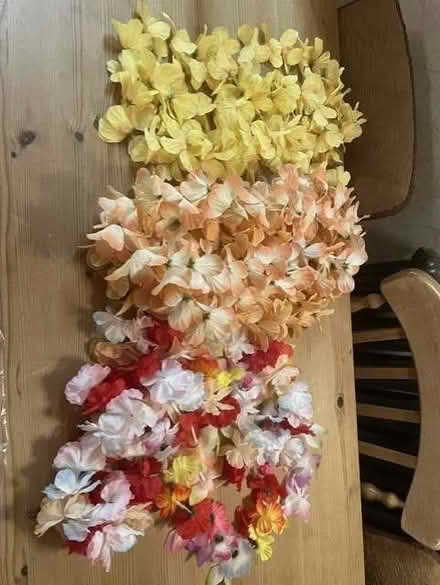 Photo of free Flower necklaces (Brigstock NN14) #1